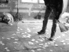 Нарковойны 2008
