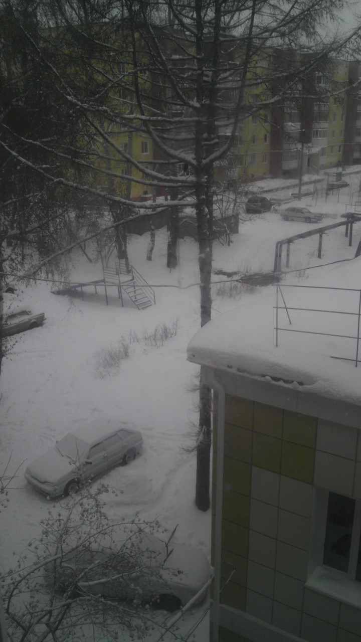 wp-1420266747672.jpg image